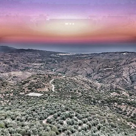 La Biznaga - *